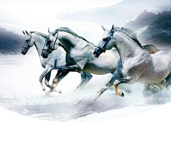 省内排行前十，设计、施工实力排前