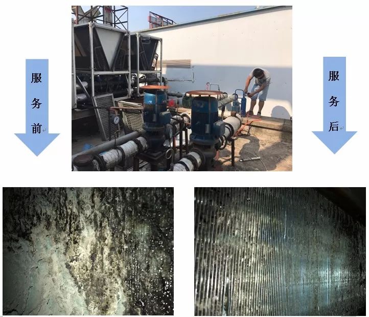 尊龙凯时(中国)人生就是搏!